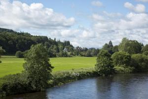 BlackwoodEstate